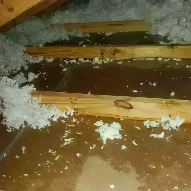 Attic Water Damage in Rutland, WI