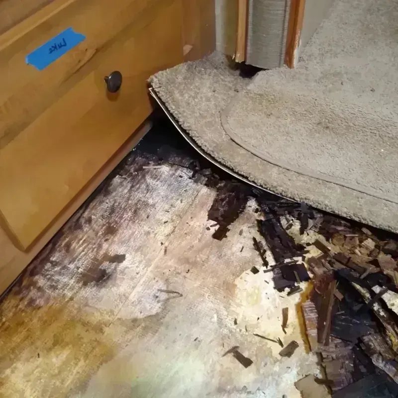 Best Wood Floor Water Damage Service in Rutland, WI